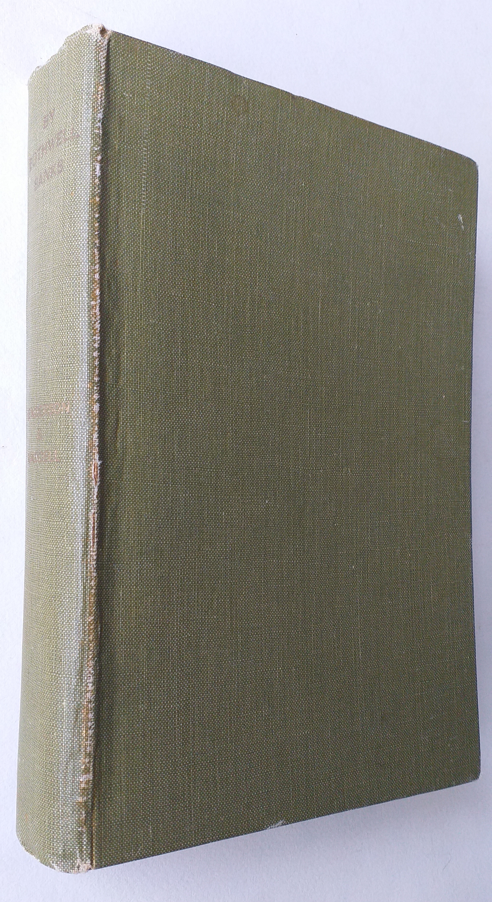 By Bothwell Banks - Some chapters on the history, archaeology, and literary associations of the Uddingston and Bothwell District.