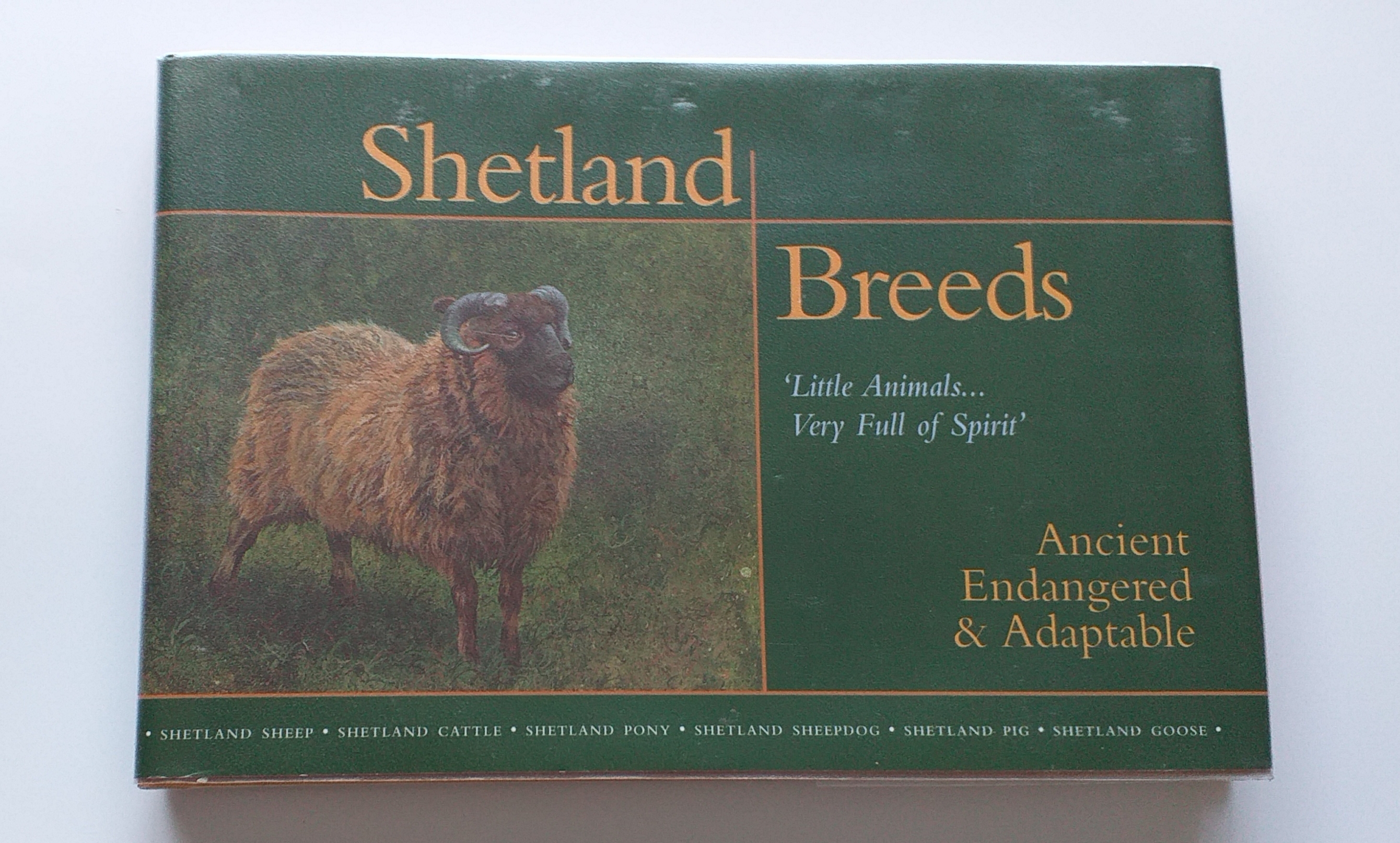 Image for Shetland Breeds 'Little Animals.Very Full of Spirit': Ancient, Endangered & Adaptable Shetland Breeds 'Little Animals.Very Full of Spirit': Ancient, Endangered & Adaptable
