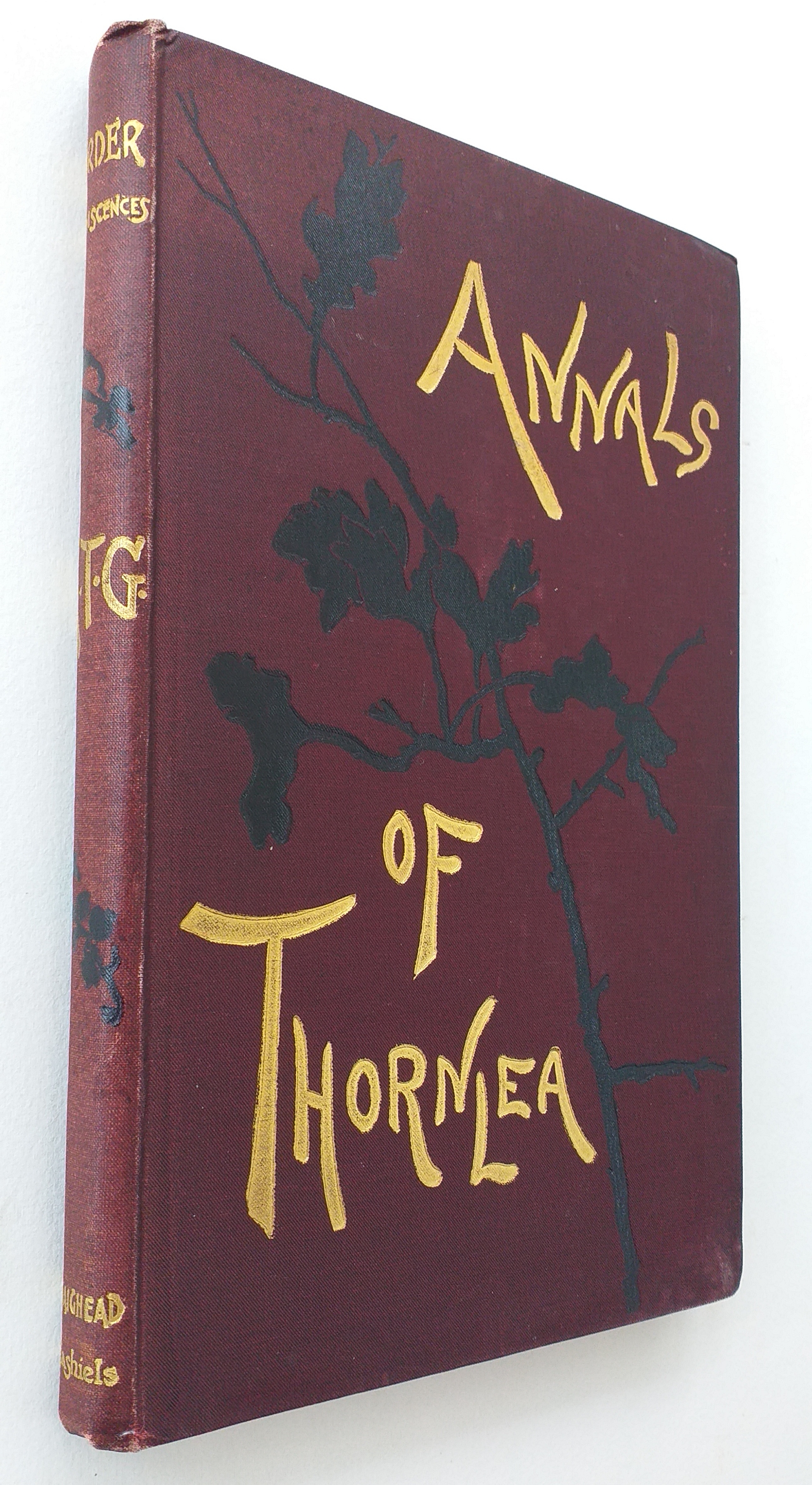 Border Reminiscences : Annals of Thornlea