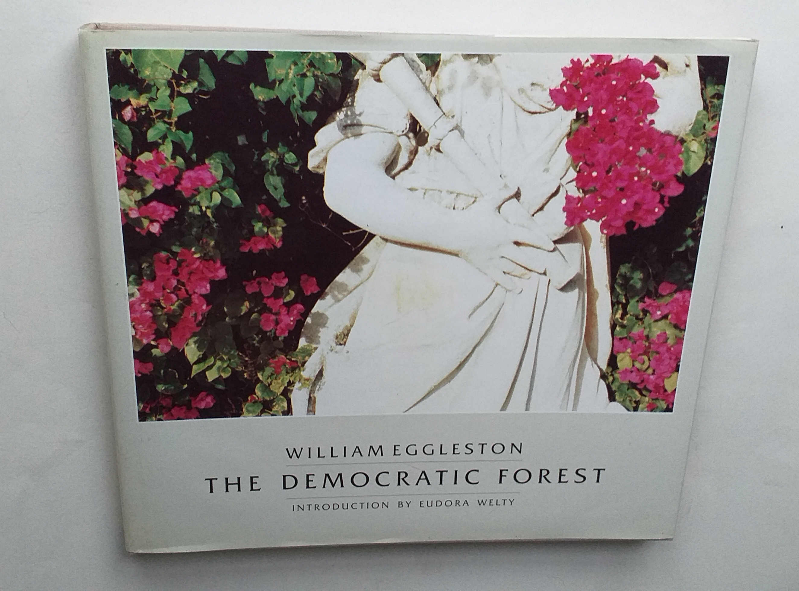 William Eggleston : the democratic forest