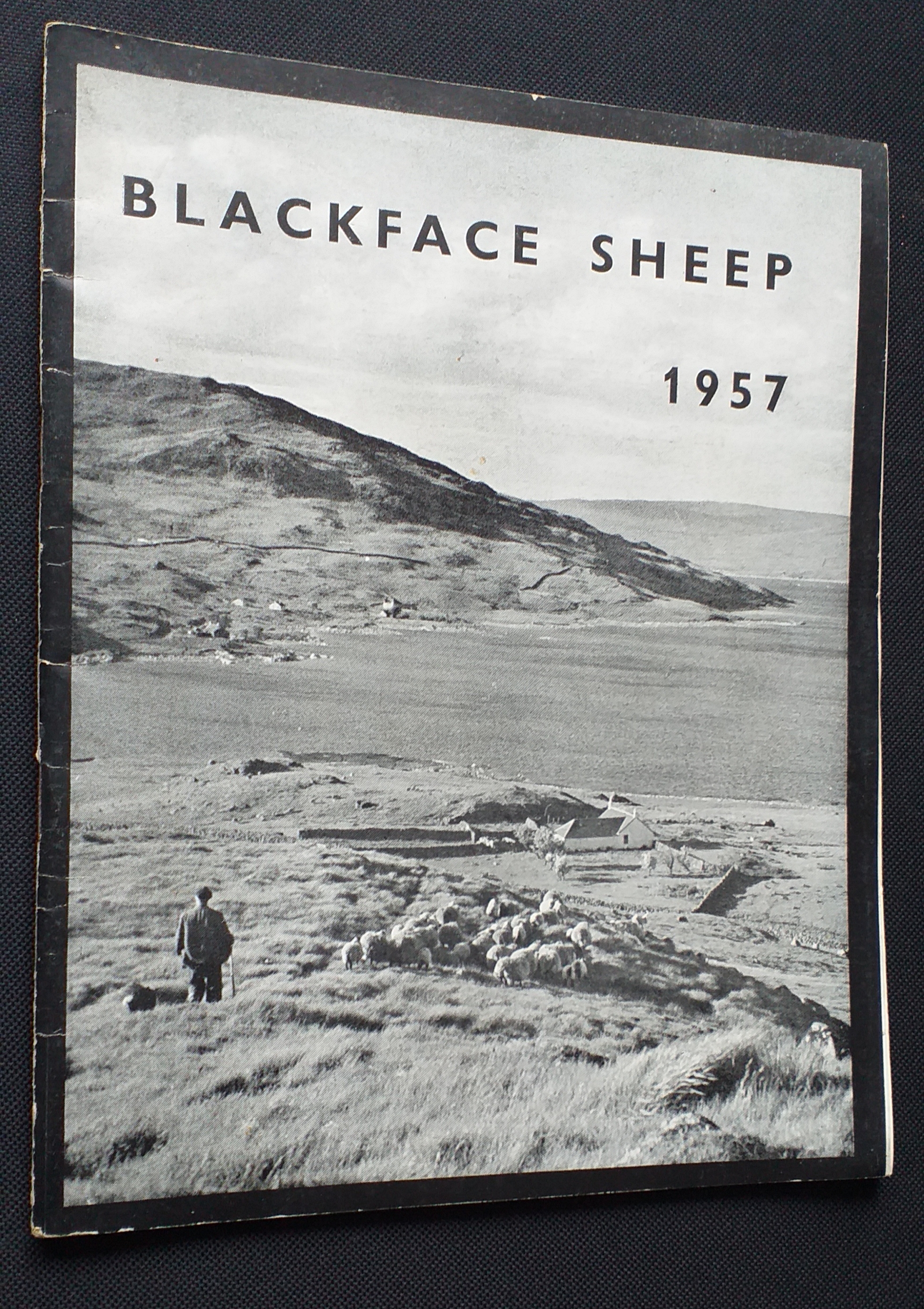 Blackface Sheep 1957 The Journal No.10 May 1957