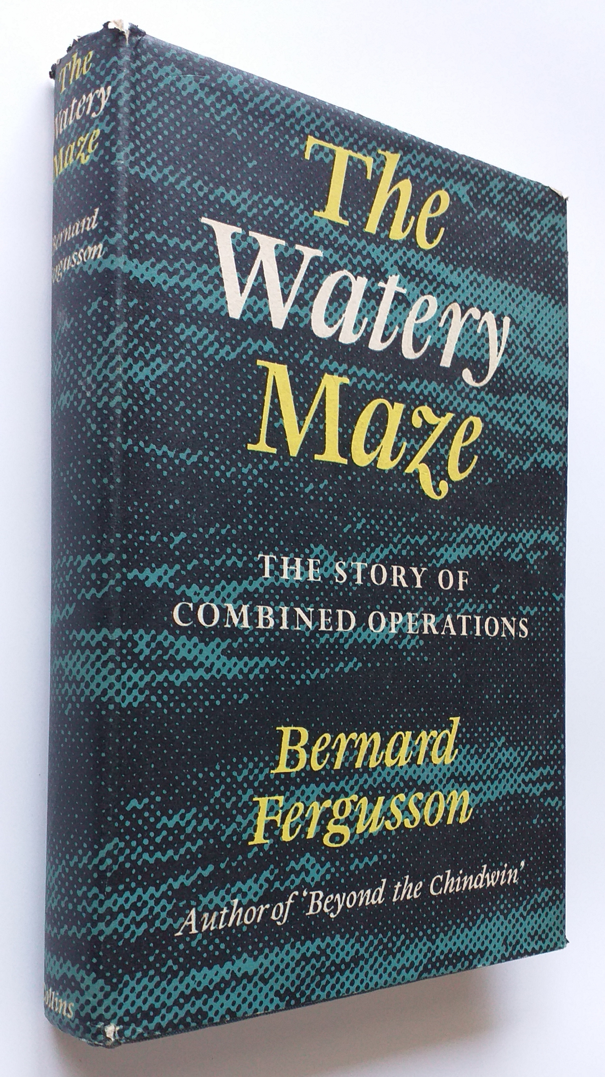 Image for The Watery Maze: The Story of Combined Operations The Watery Maze: The Story of Combined Operations