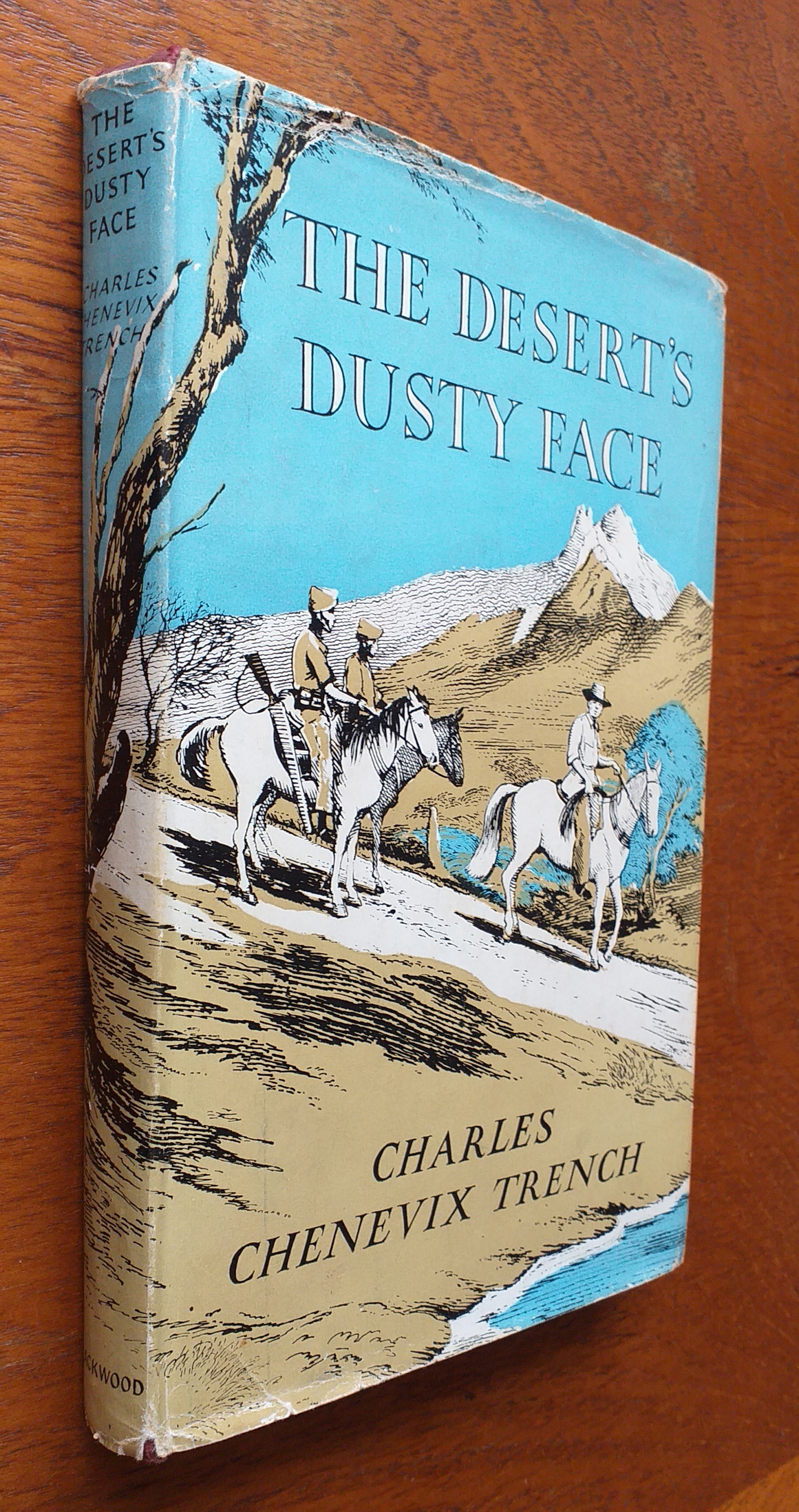 The Desert's Dusty Face