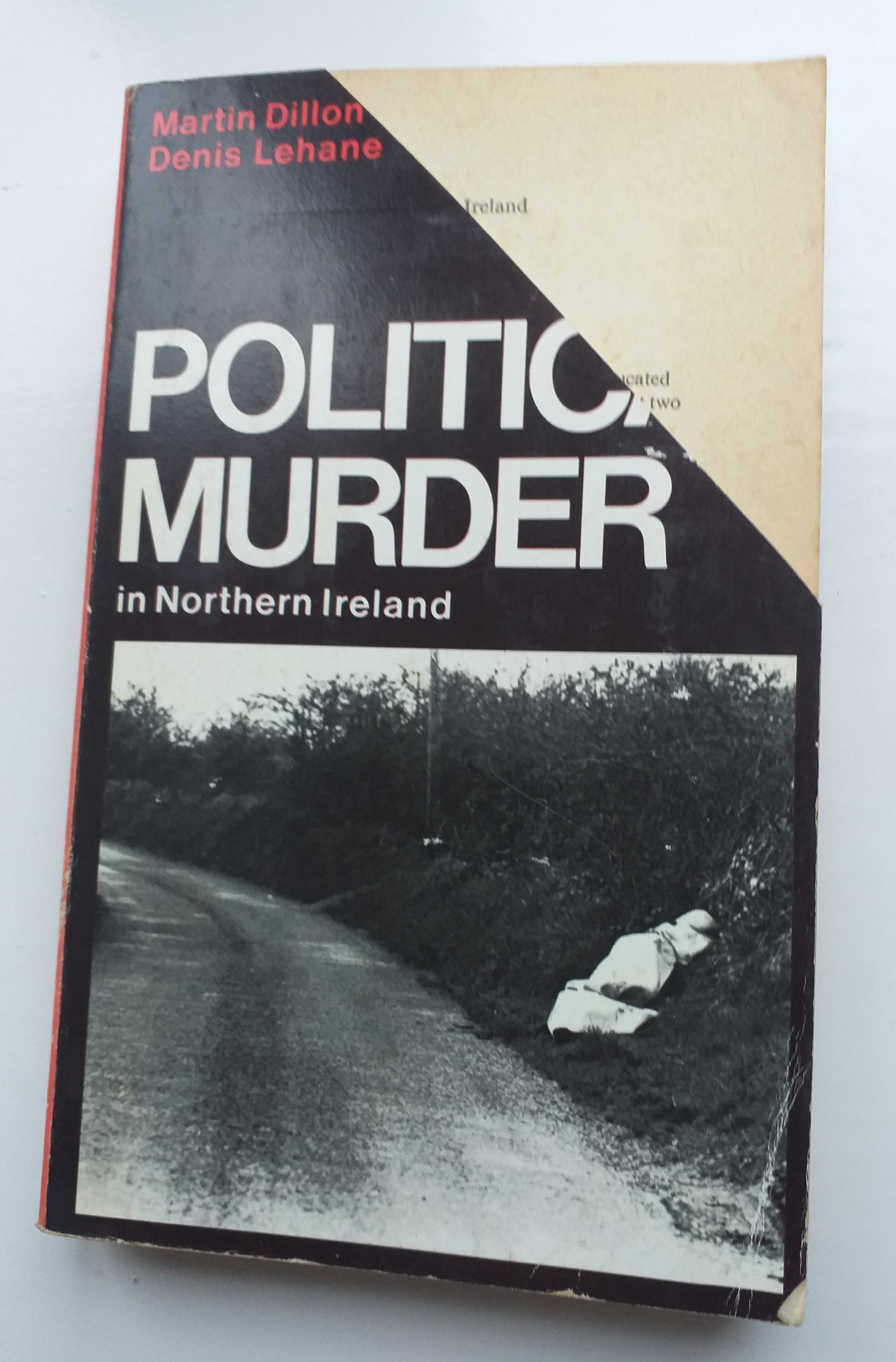 Image for Political Murder in Northern Ireland (Penguin Special) Political Murder in Northern Ireland (Penguin Special)